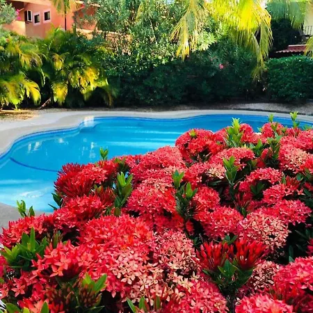 Valle Dorado 9